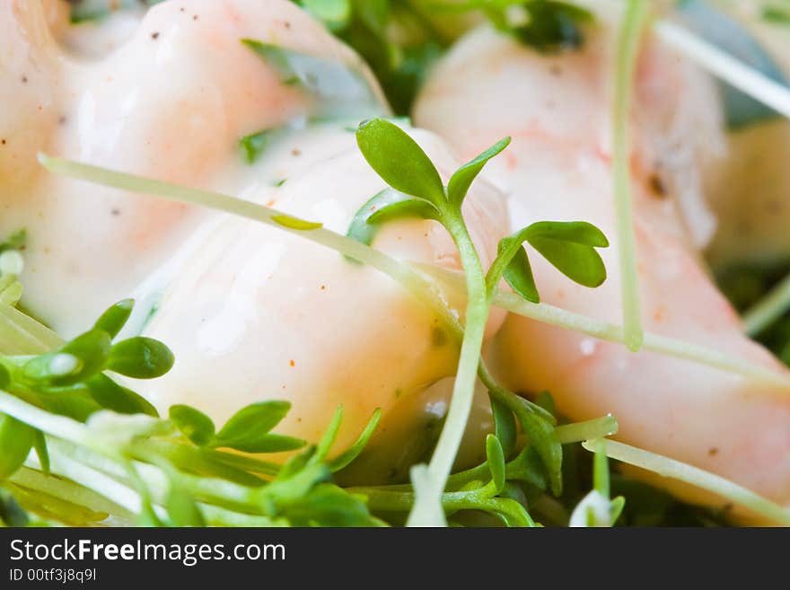 Close up of fresh cress with prawns in the background. Close up of fresh cress with prawns in the background