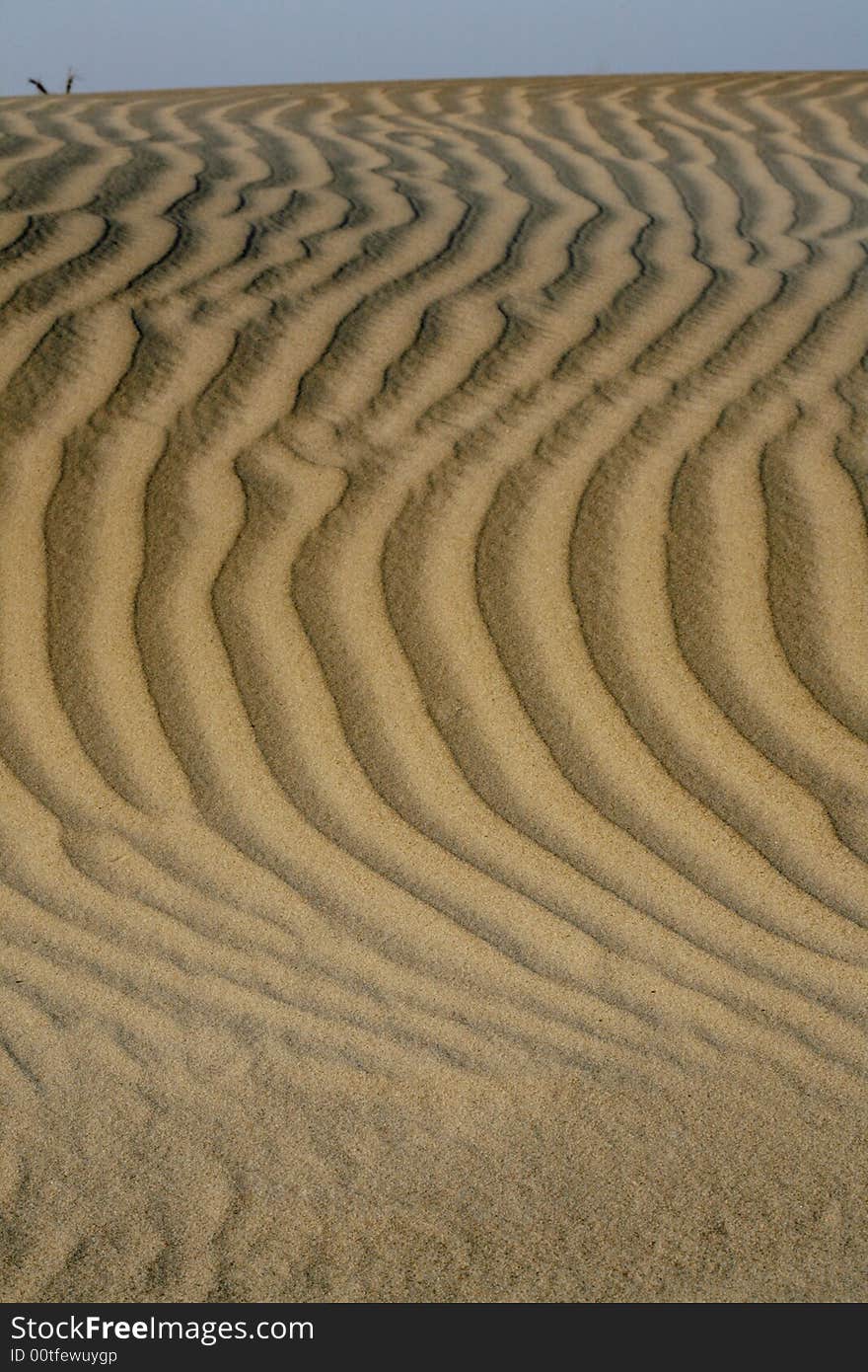 Sand dunes in the nature