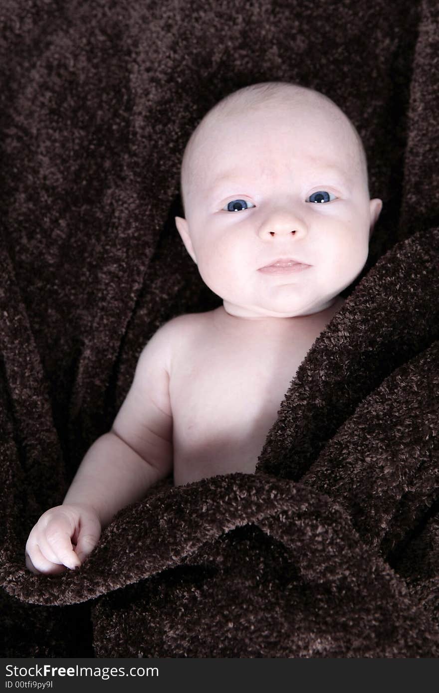 Newborn Baby in Blanket