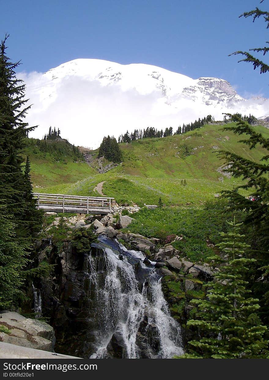 Looking up at Mt Rainier from valley.