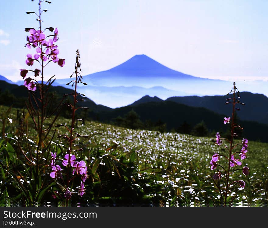 Mt Fuji-456