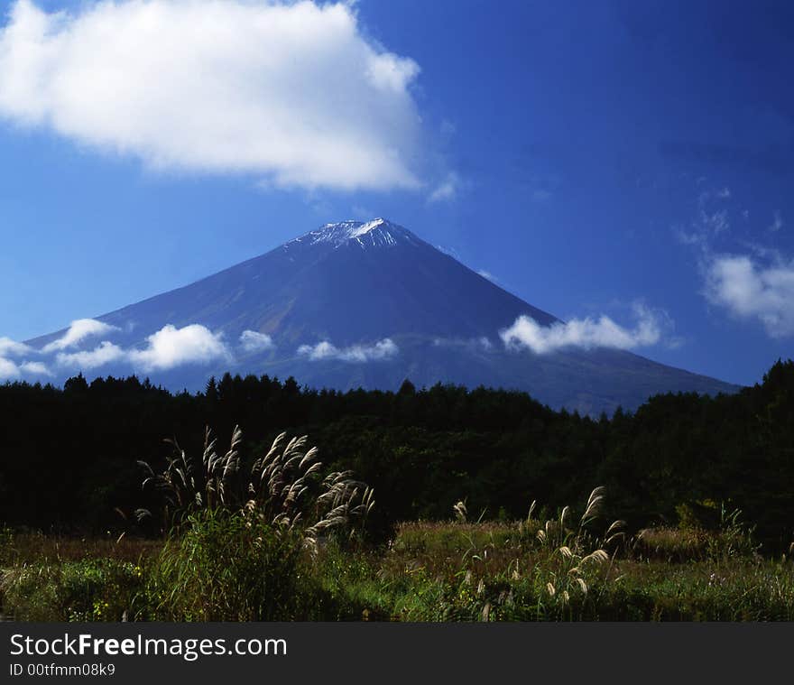 The Mt,Fuji in early autumn. The Mt,Fuji in early autumn