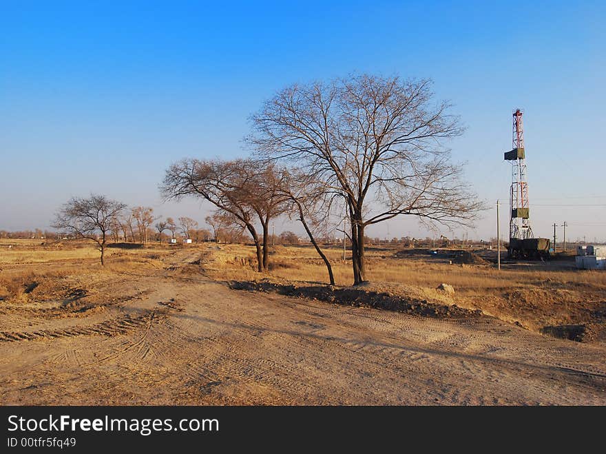 Drilling rig and trees