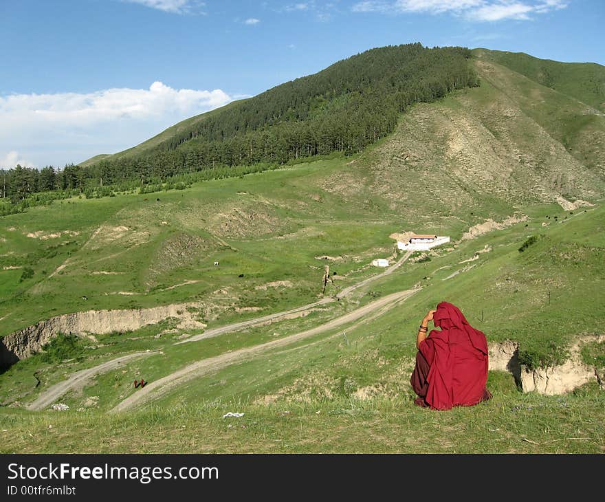 A Lamas is looking for his home