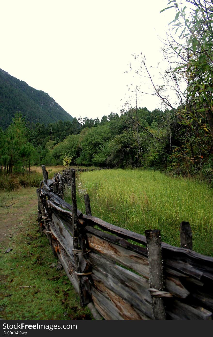 Meadow fense in the mountain valley at tibet in china