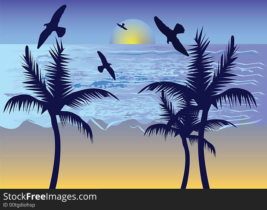 Birds on sea with palm