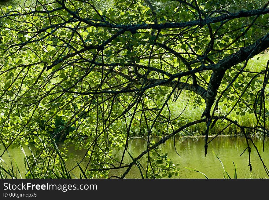 Green river