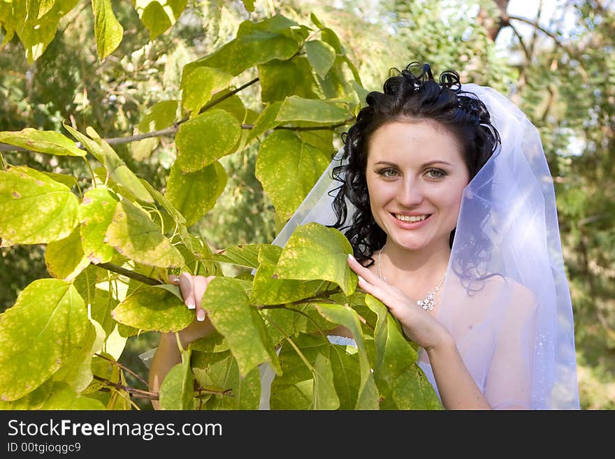 Happy bride holds a brunch of a tree. Happy bride holds a brunch of a tree