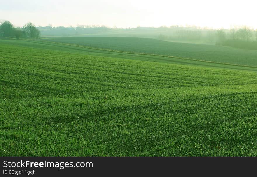 Green fields on the danish island of Femoe