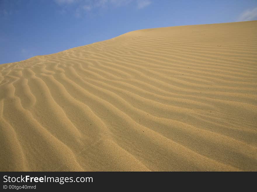 Wind Patters in the Desert Sands. Wind Patters in the Desert Sands