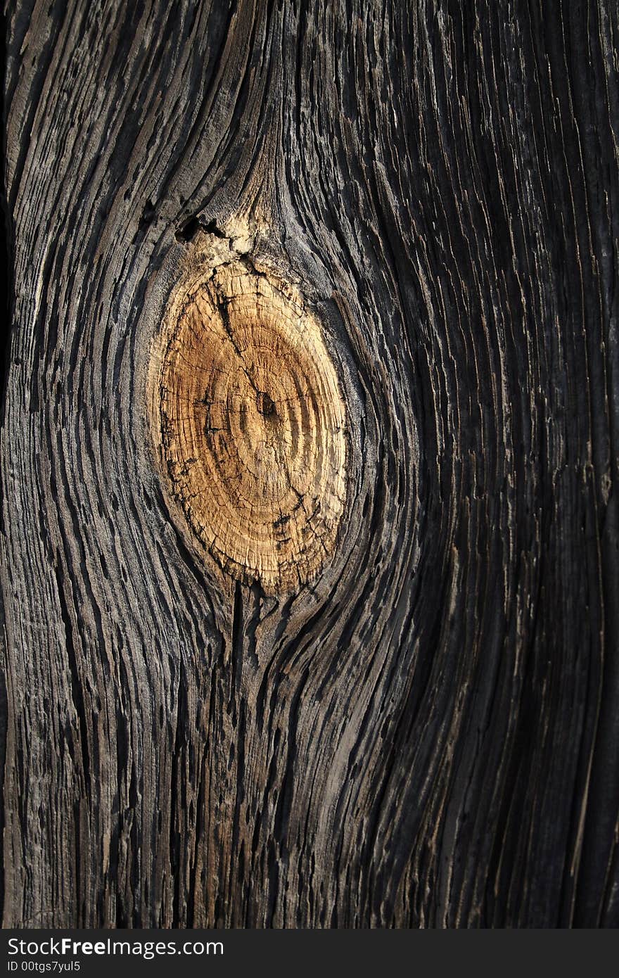 Wooden background, natural texture, close-up