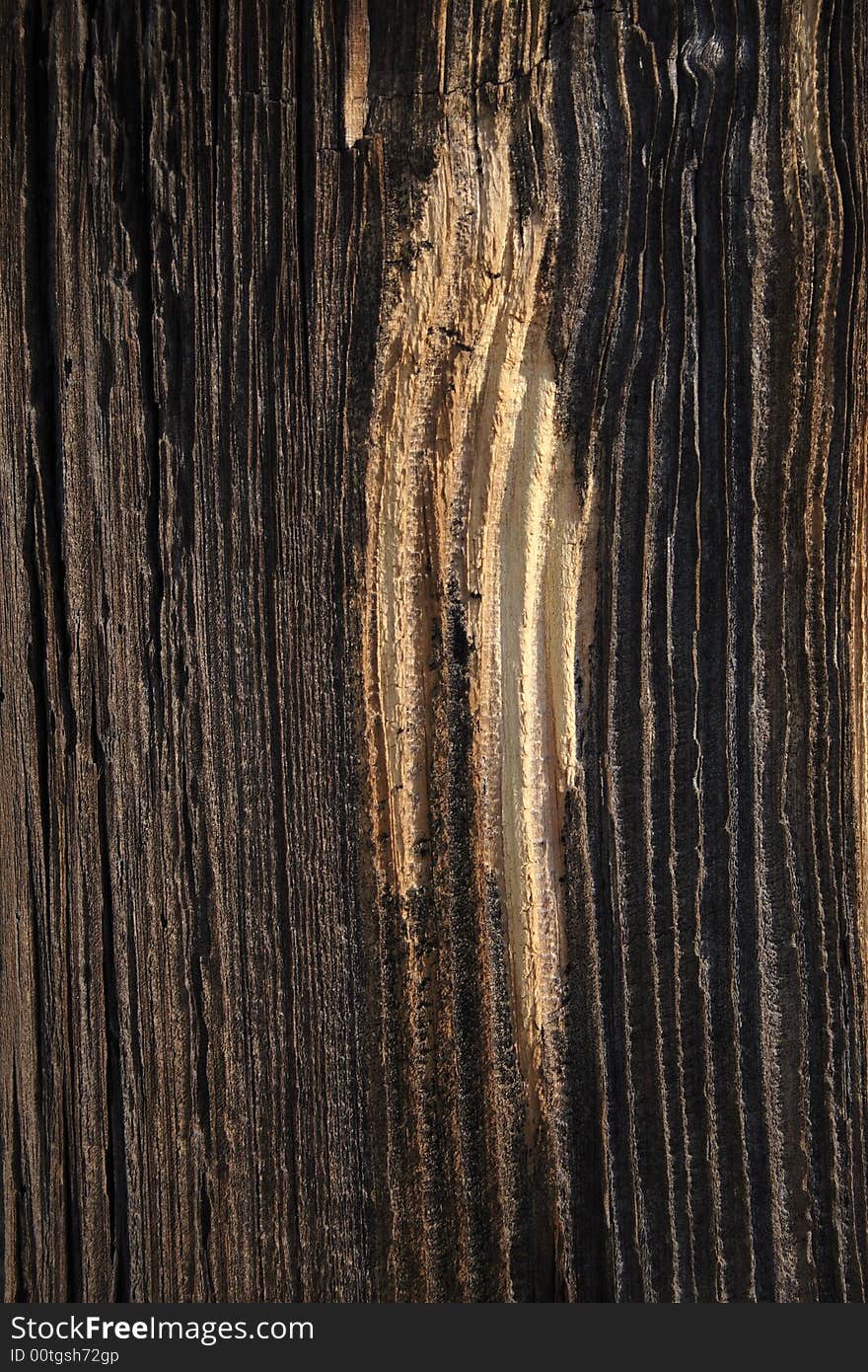 Wood