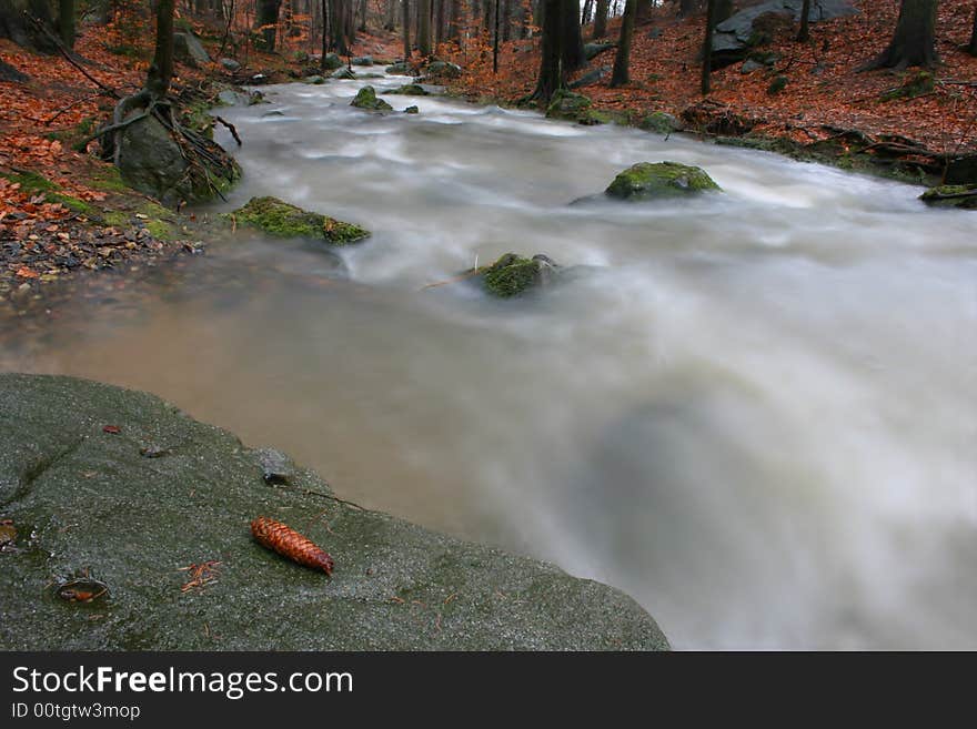 Mowing water in the forest stream. Mowing water in the forest stream