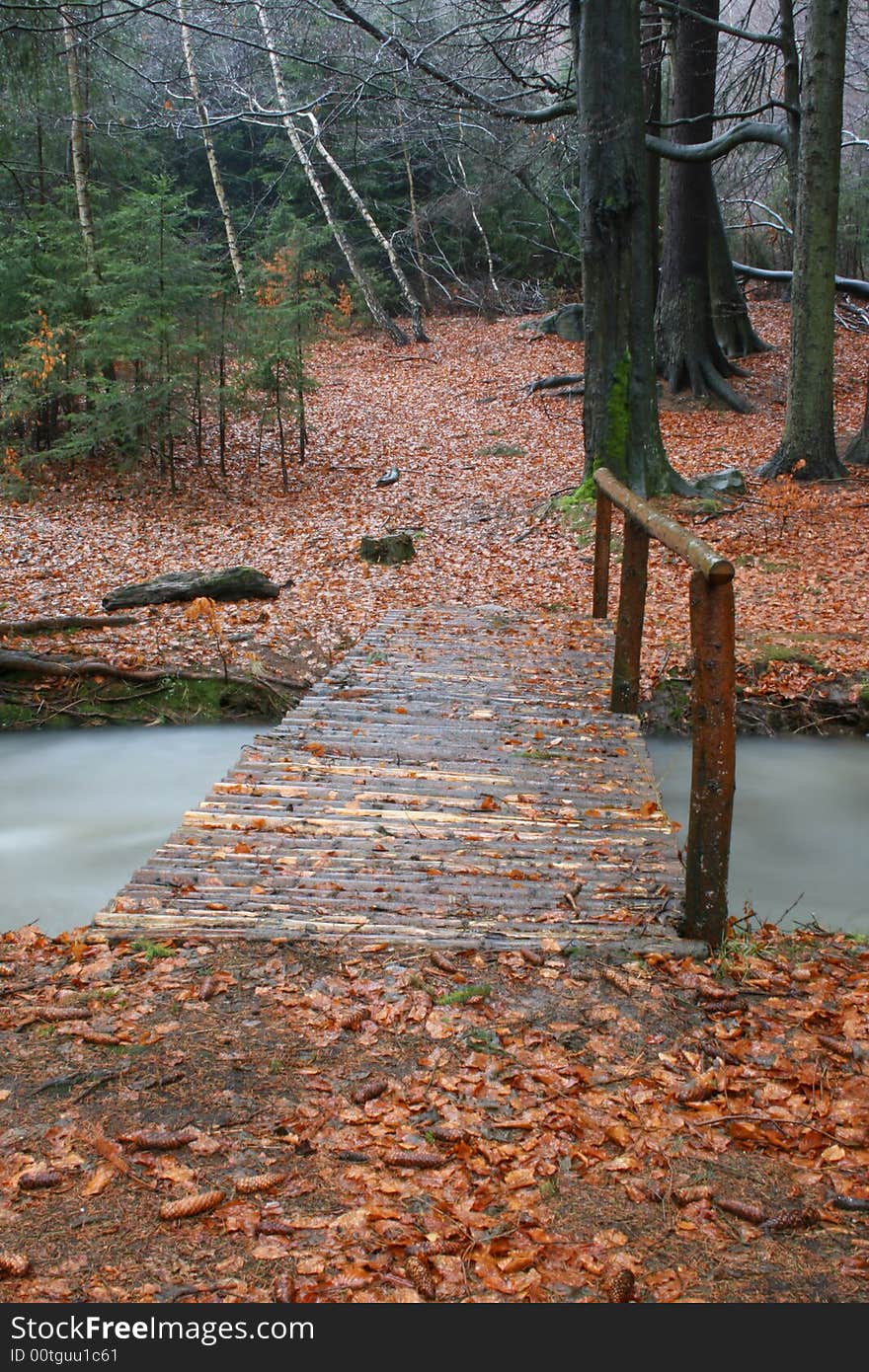 Foot bridge across the creek