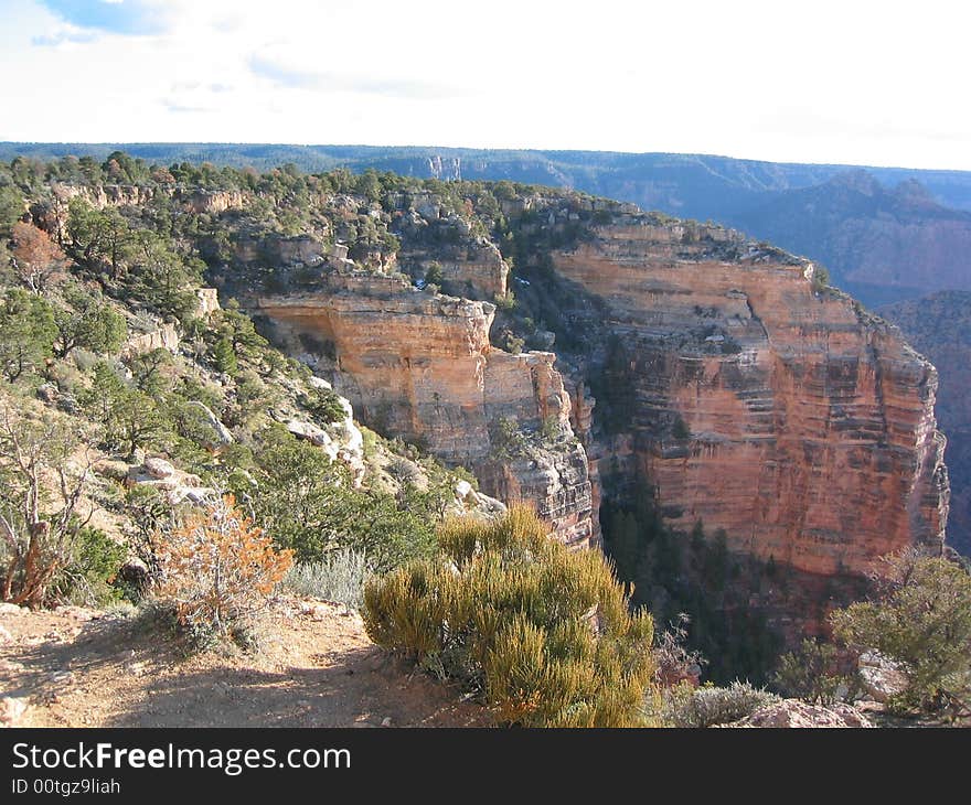 View of the grand canyon from top