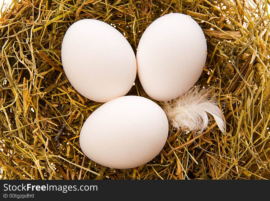 Three eggs and white feather