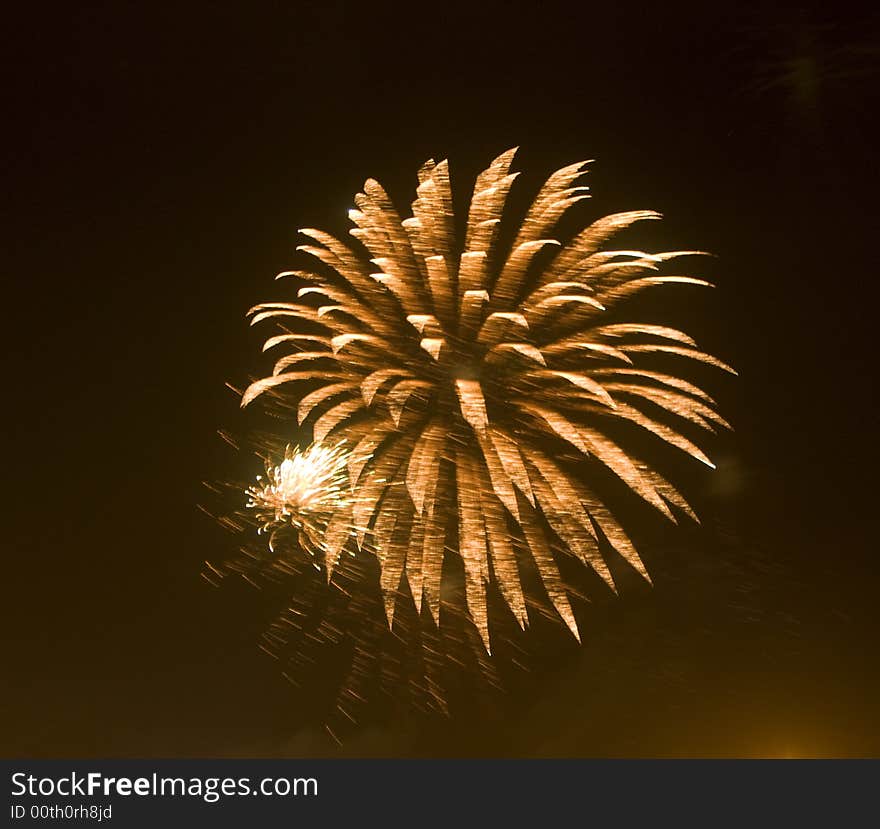 Fireworks Flower