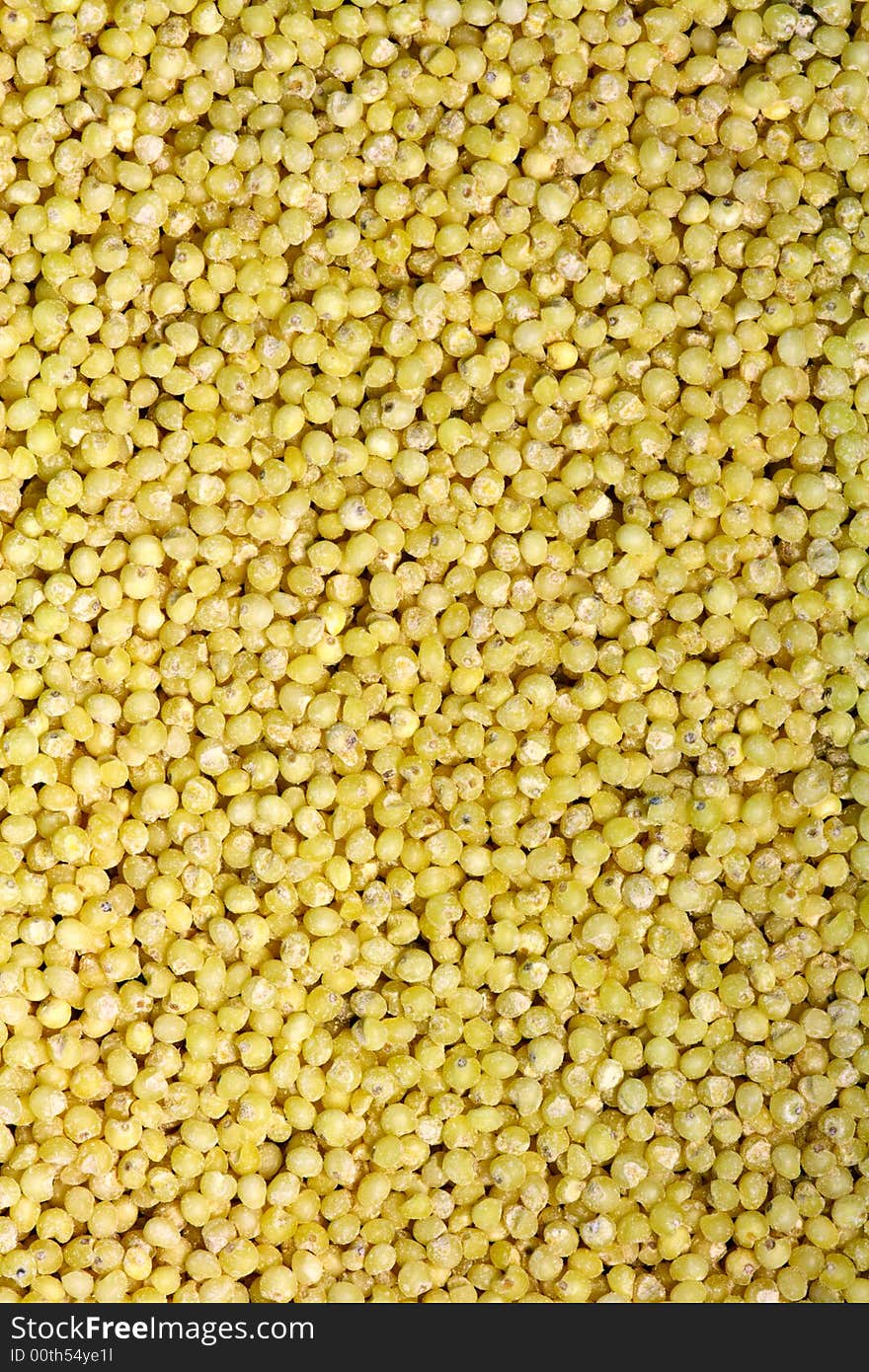 The dried up grains of millet