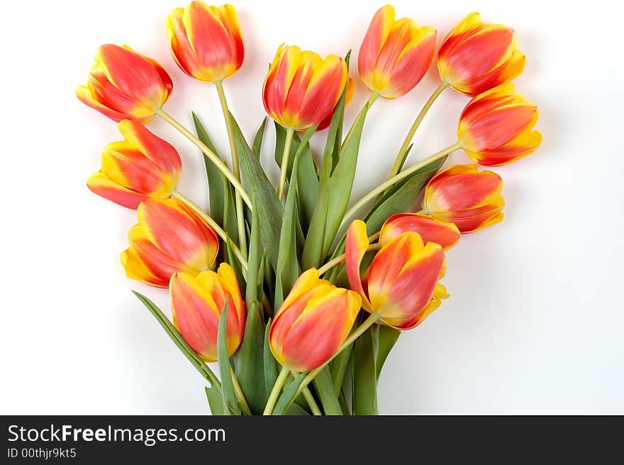 Symbol of heart made with tulips