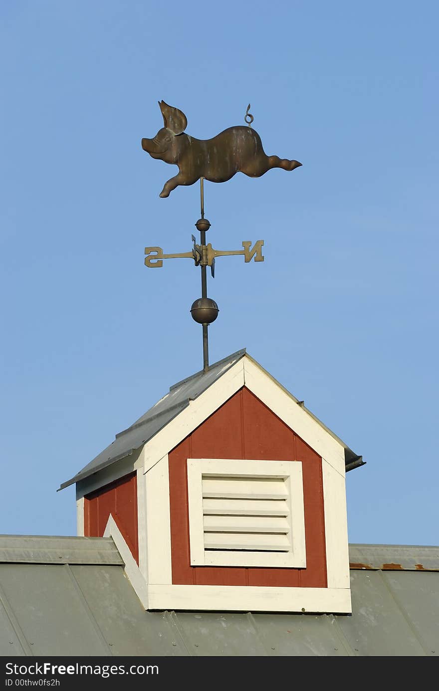 Pig weather Vane on red Cupola. Pig weather Vane on red Cupola