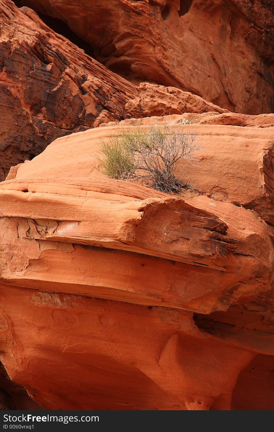 Rock formation in the Valley of Fire in Nevada