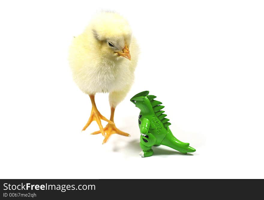 Chicken and dinosaur