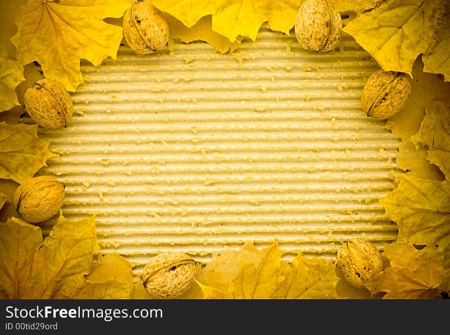 A grunge background with leaves