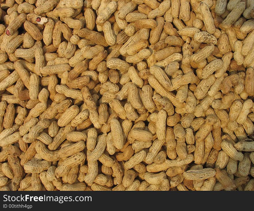 Macro pic of peanut texture. Macro pic of peanut texture