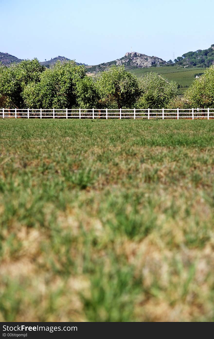 Portrait of rural farm field with fence