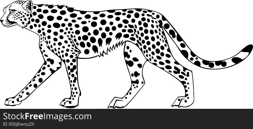 Illustration of a ghepard in ing style