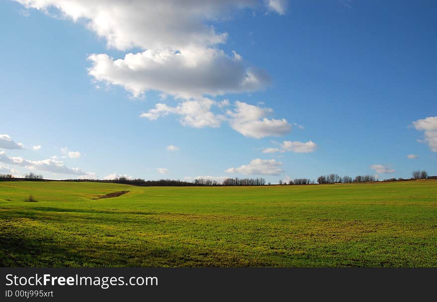 Green grass and blue sky. Green grass and blue sky