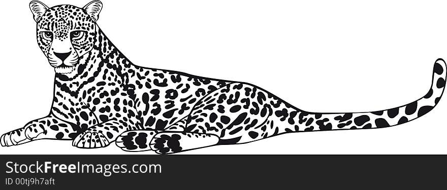 Illustration of a leopard in relax