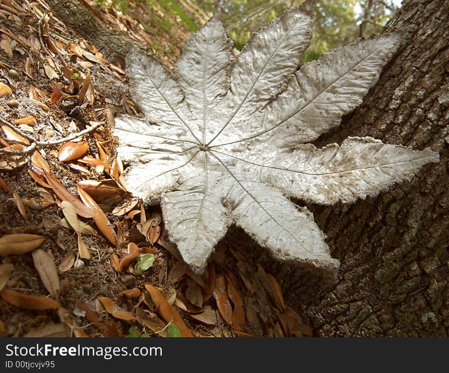 A rock leaf leaning on an oak tree with foliage in the distance. A rock leaf leaning on an oak tree with foliage in the distance