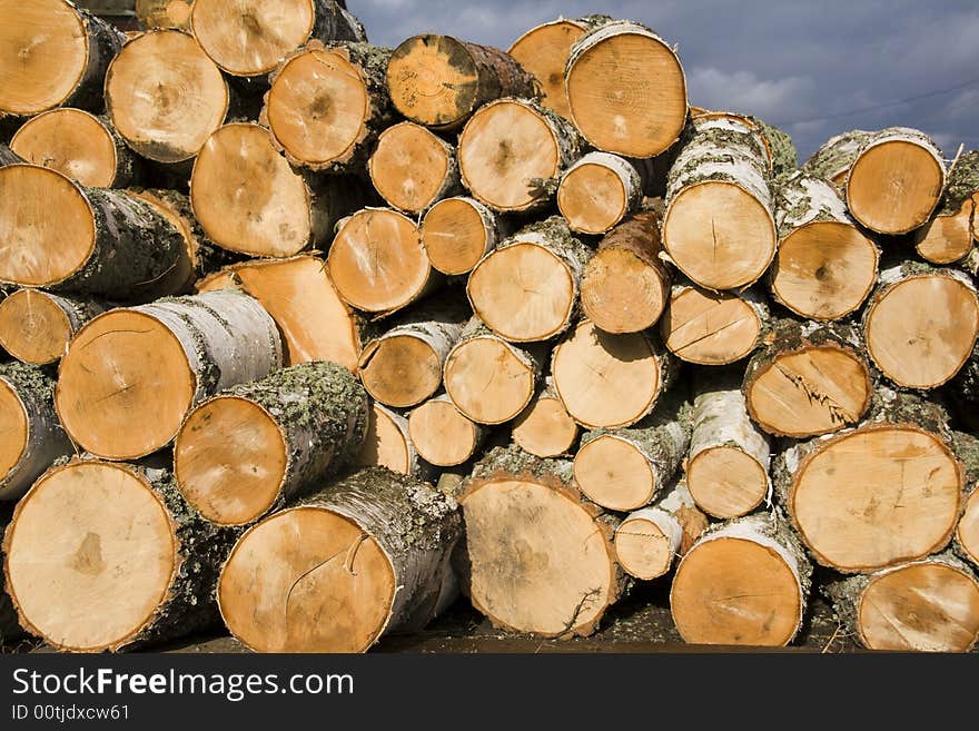 Pile of birch logs (front view)