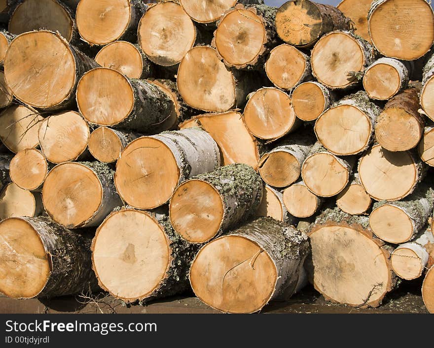 Pile of birch logs (front view)