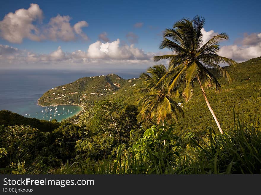 Palm trees and harbour viewed from heights of tropical island. Palm trees and harbour viewed from heights of tropical island