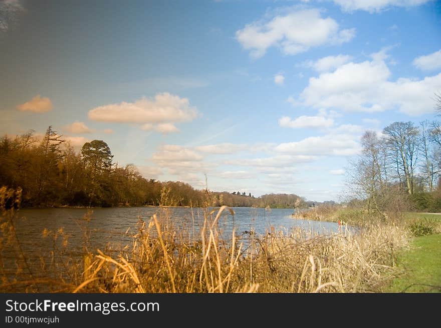 Portrait Of The Lake