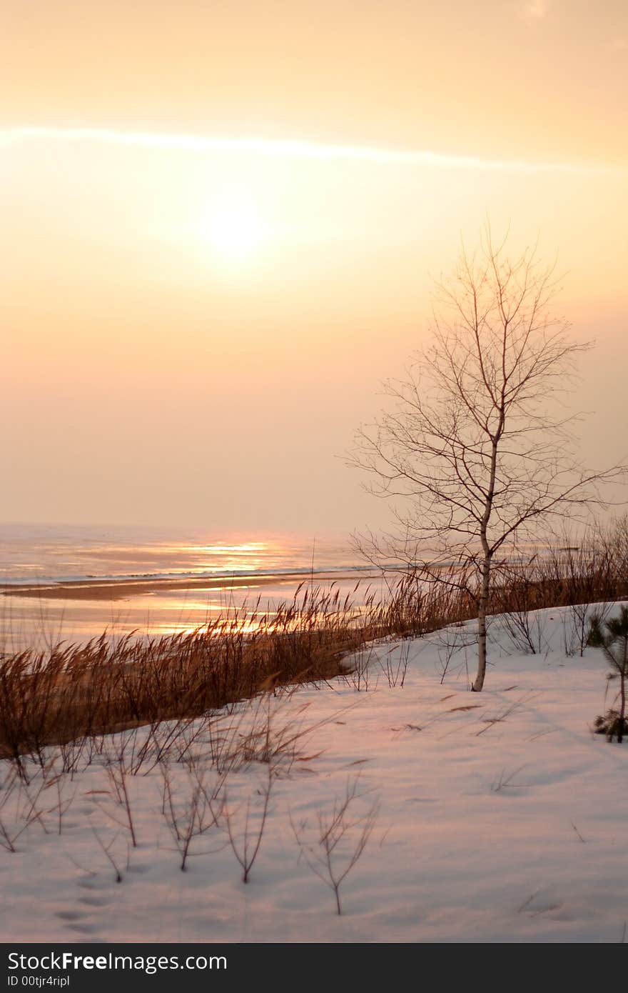 Lonely birch on snow I protect the frozen lake. Lonely birch on snow I protect the frozen lake