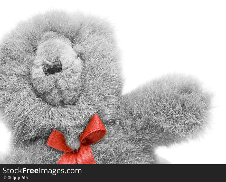 Bear toy isolated on white