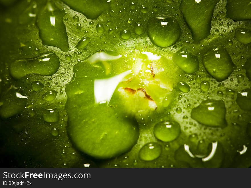 Wet green vibrant colors leaf background. Wet green vibrant colors leaf background