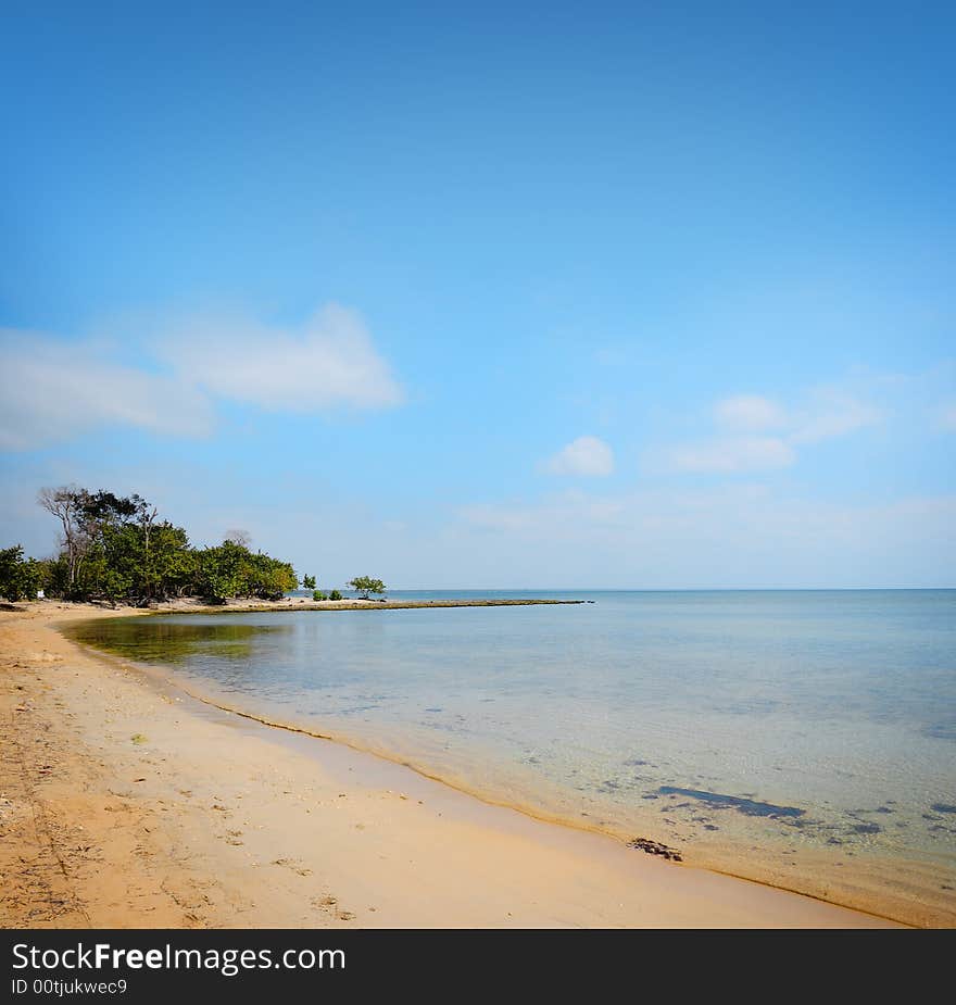 Tropical beach with vegetation