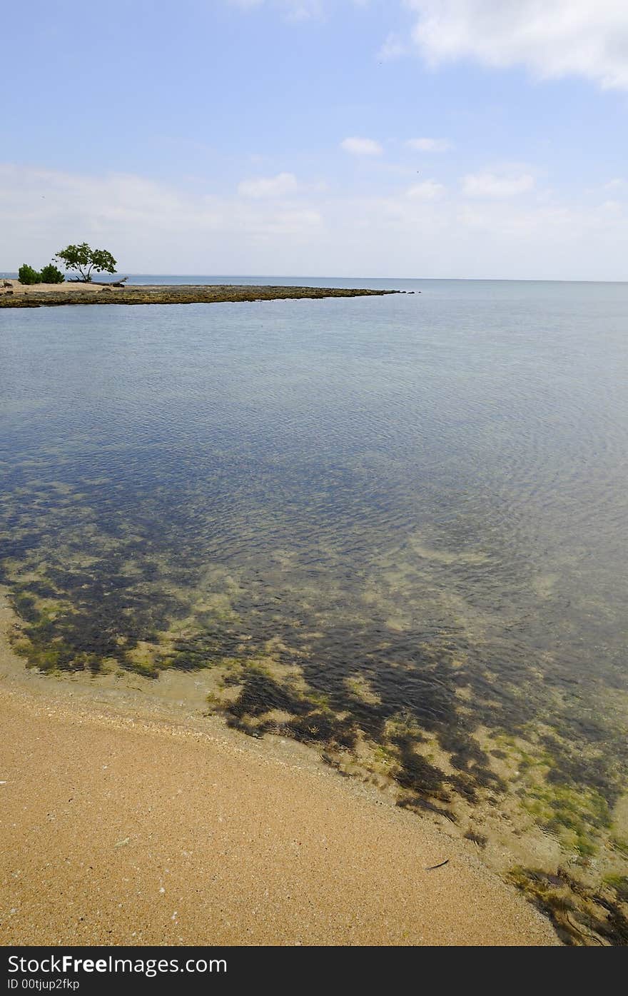 Detail of quiet solitary beach with marine vegetation