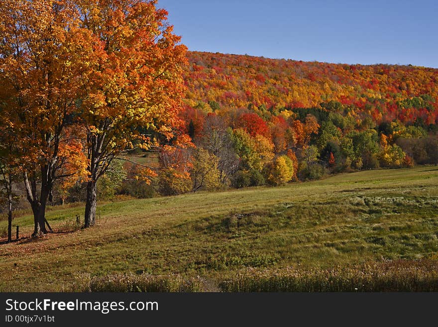 Autumn Countryside