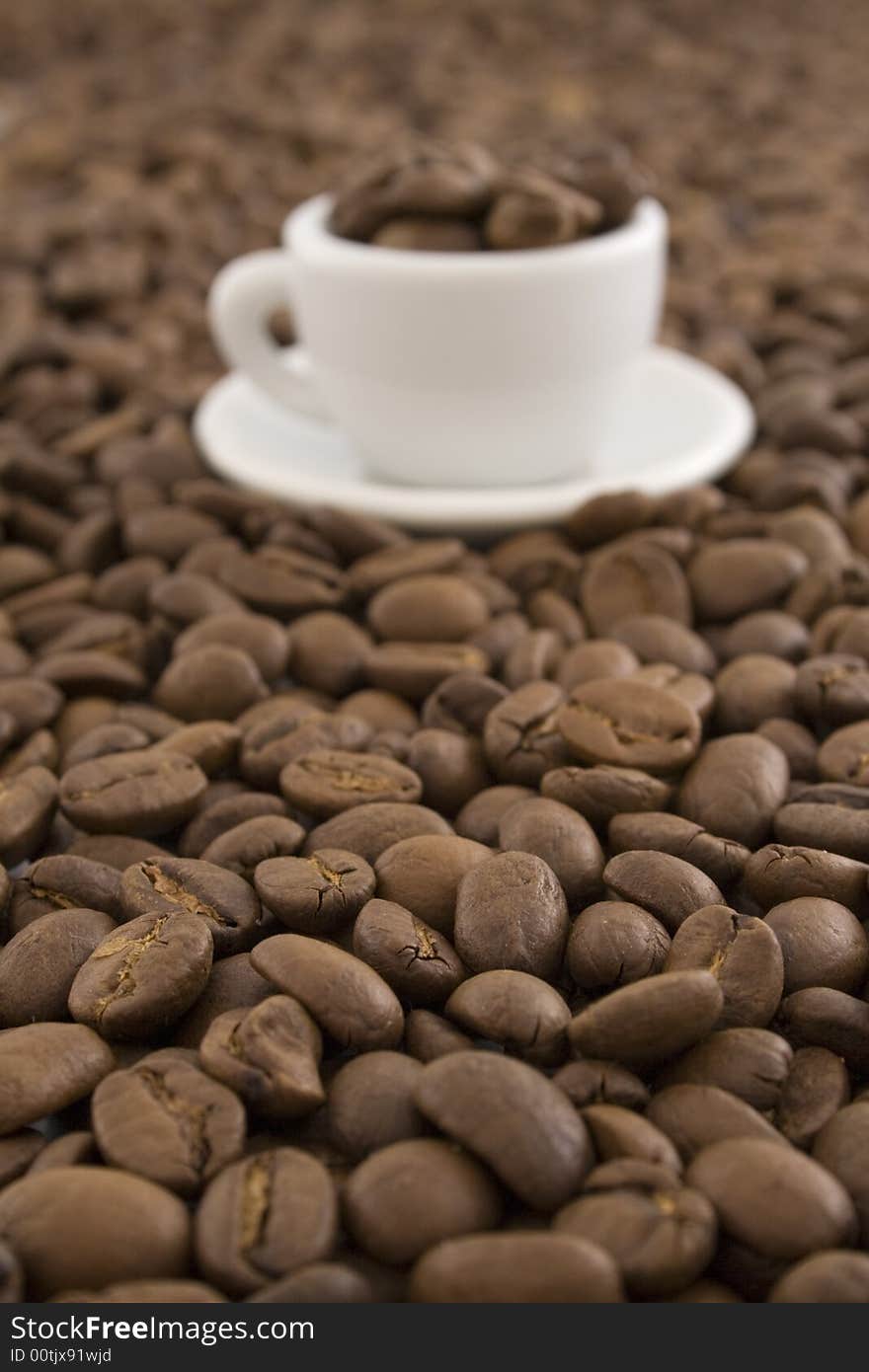 Coffee beans in white cup