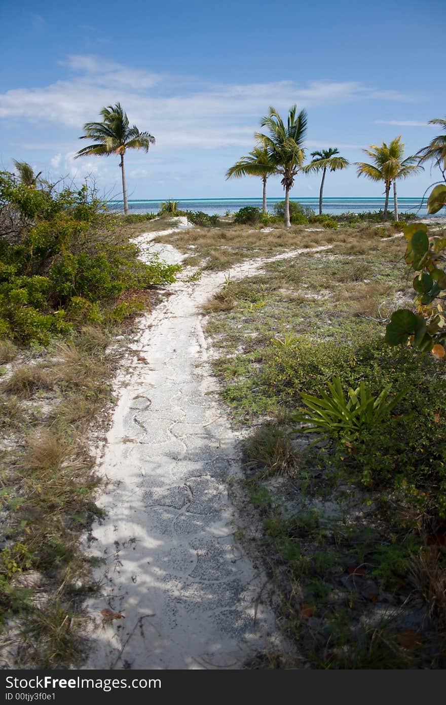 Way to tropical beach