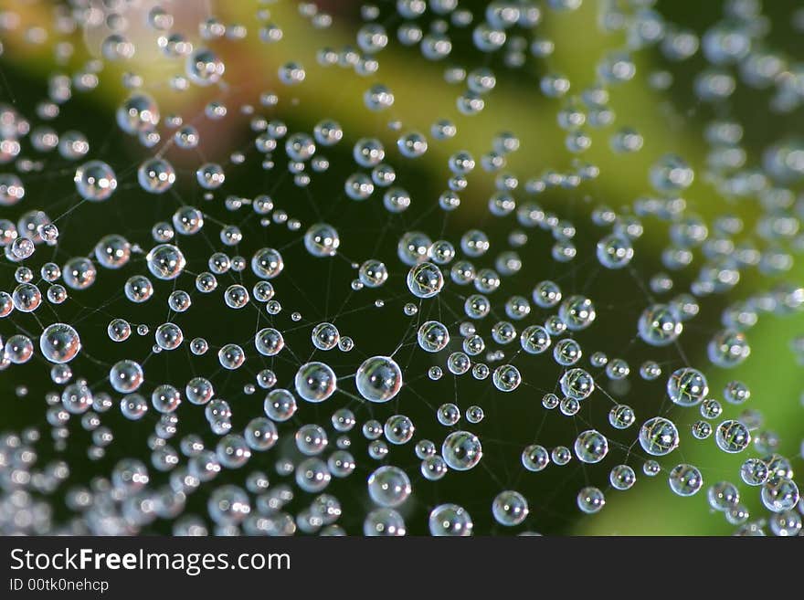 Many small dewdrops on a tiny cobweb. Many small dewdrops on a tiny cobweb