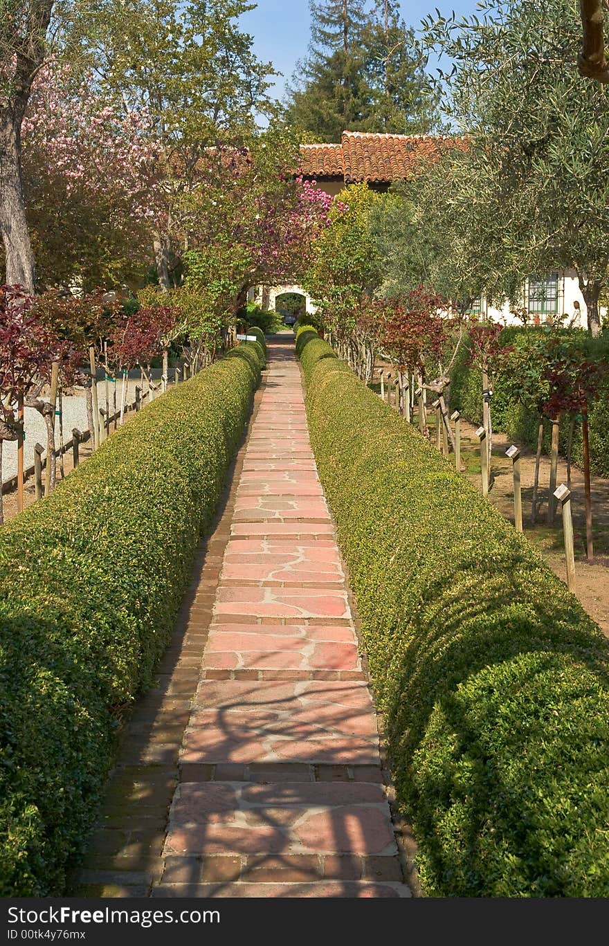 Empty footpath perspective in blooming garden