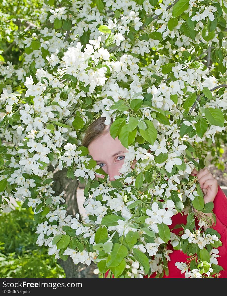 Happy girl hiding in the spring blooming apple tree flowers. Happy girl hiding in the spring blooming apple tree flowers