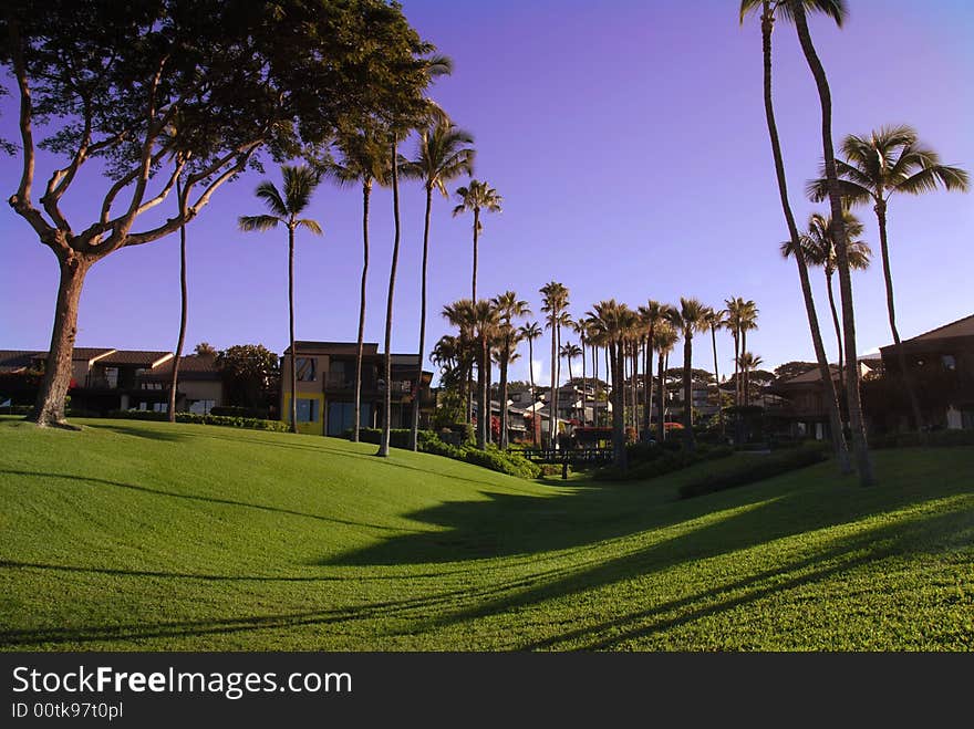 Housing in Hawaii. Grass, palmtrees and blue sky on the morning.