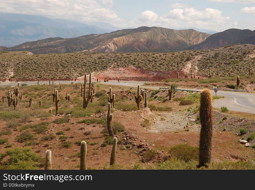 Cacti and rocks along a road through a desert zone of north western Argentina. Cacti and rocks along a road through a desert zone of north western Argentina